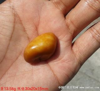 新疆和田玉顶级玩料 一级板栗黄 黄玉籽料欣赏